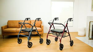 10215BL-1_DRIVE MEDICAL_B3_09_GO-LITE BARIATRIC STEEL ROLLATOR.00_00_01_02.Still001.jpg