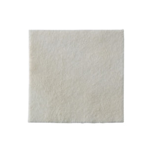 Coloplast Biatain Ag Adhesive Foam Dressing, 5 cm x 5 cm (2 in x 2 in)