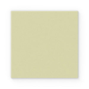 Exufiber Ag+ Antimicrobial Gelling Fibre Dressing 15 x 15cm