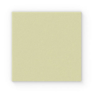 Exufiber Ag+ Antimicrobial Gelling Fibre Dressing 10 x 10cm
