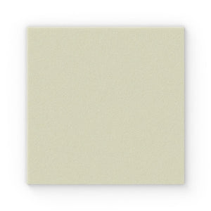 Exufiber Gelling Fibre Dressing 10 x 10cm