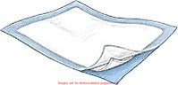 Cs/150 Simplicity Basic Underpad Light Absorbency 23" X 36" Fluff Light BlueCovidien / Medtronic