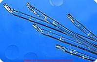 Cure Intermittent Cath Male 10Fr 16In Coude TipCure Medical