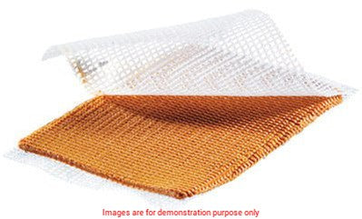 Iodosorb Paste, Size 5G (4Cm X 6Cm)Smith & Nephew