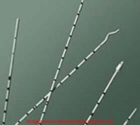 Ureteral Catheter,Polyurethane,Olive Tip W/Adapter,6Fr X 70CmBard